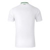 Original Fußballtrikot Irland Auswärtstrikot 2024-25 Für Herren